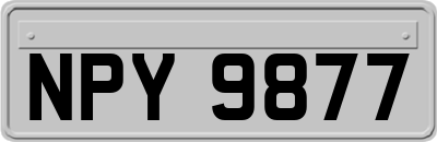 NPY9877