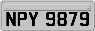 NPY9879