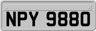 NPY9880