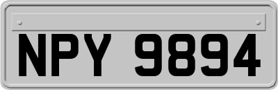 NPY9894