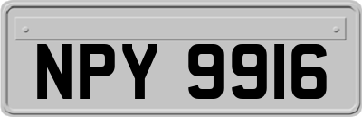 NPY9916