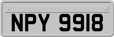 NPY9918
