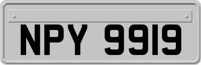 NPY9919