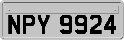 NPY9924