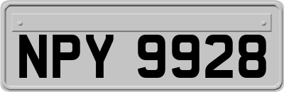 NPY9928