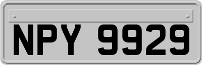 NPY9929