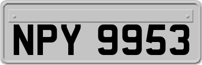 NPY9953