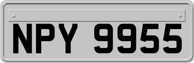 NPY9955