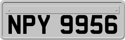 NPY9956