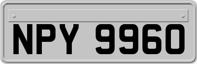 NPY9960