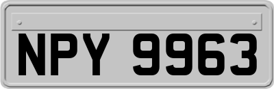 NPY9963