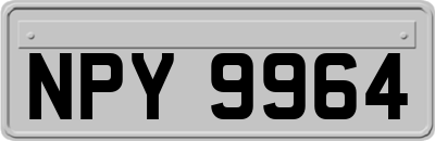 NPY9964