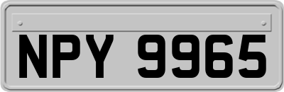 NPY9965