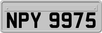 NPY9975