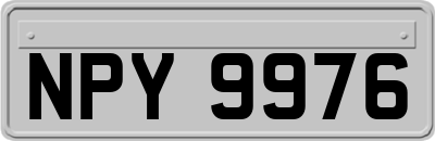 NPY9976