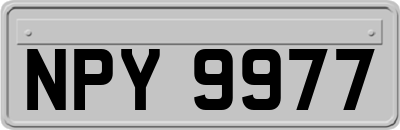 NPY9977