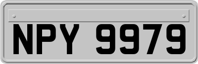 NPY9979