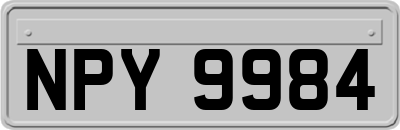 NPY9984
