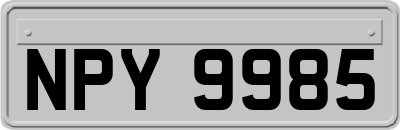 NPY9985