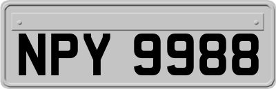 NPY9988