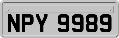NPY9989