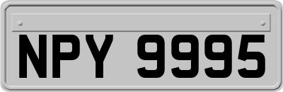 NPY9995
