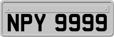 NPY9999