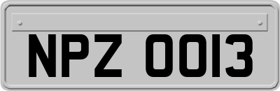 NPZ0013