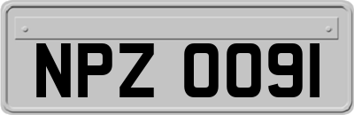 NPZ0091
