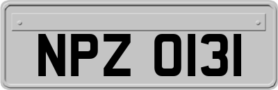 NPZ0131
