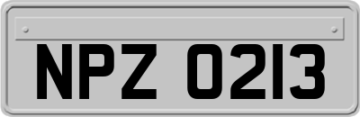 NPZ0213