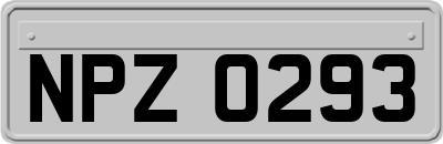 NPZ0293