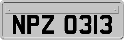 NPZ0313