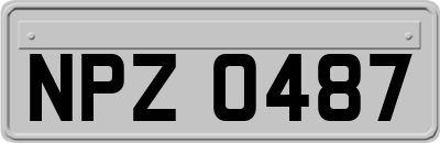 NPZ0487