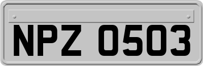 NPZ0503