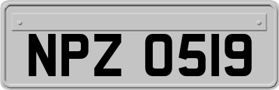NPZ0519