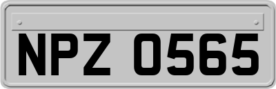NPZ0565