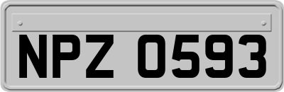 NPZ0593