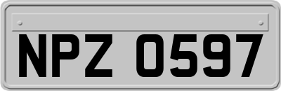 NPZ0597