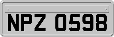 NPZ0598