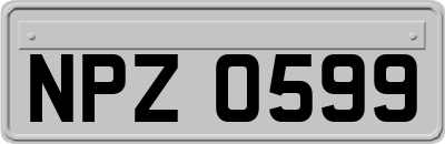 NPZ0599