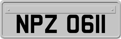 NPZ0611