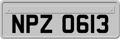 NPZ0613