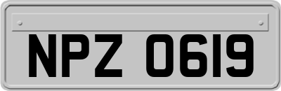 NPZ0619