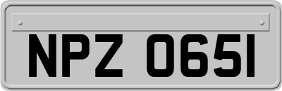 NPZ0651