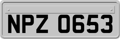NPZ0653