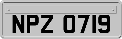 NPZ0719