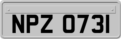 NPZ0731