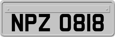 NPZ0818