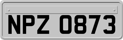 NPZ0873